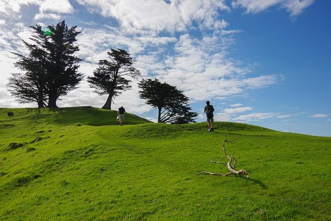 Private Half-Day Volcano Tour From Auckland - Meeting and Pickup