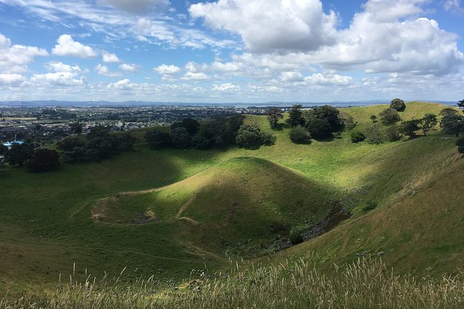 Private Half-Day Volcano Tour From Auckland - Requirements and Recommendations