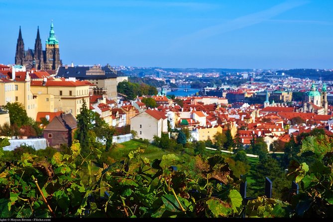 Private Half-Day Walking Tour of Pragues Highlights - Highlights of the Tour