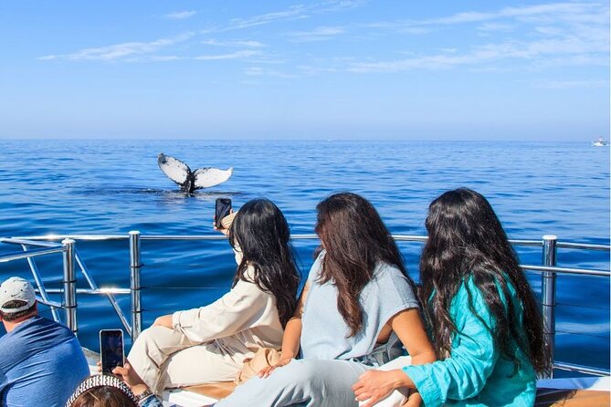 Private Half Day Whale Watching Expedition in Puerto Vallarta - Key Points