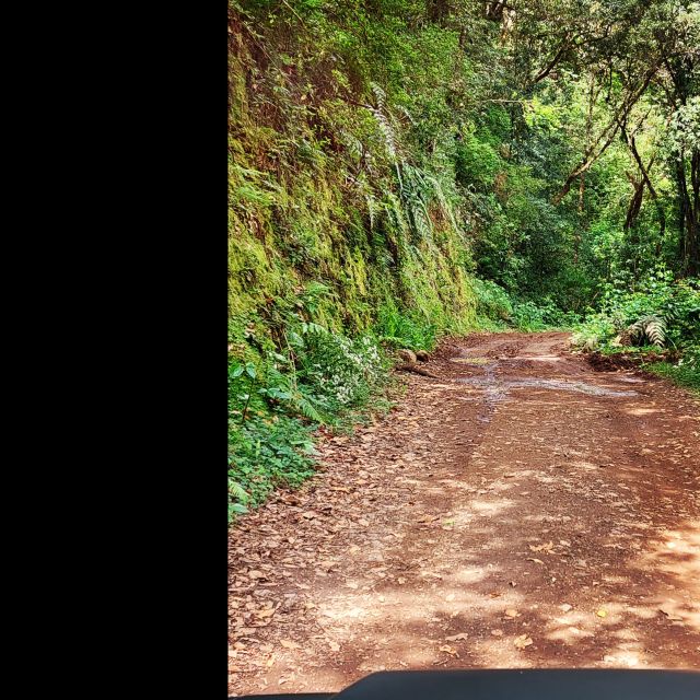 Private Halfday & Eucalyptus Forest Offroad - Key Points