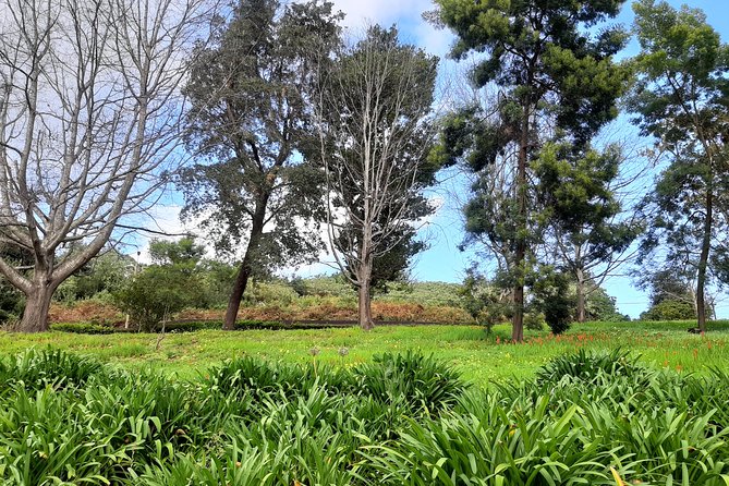 Private Halfday Flower Palheiro Gardens Tour - Accessibility and Weather