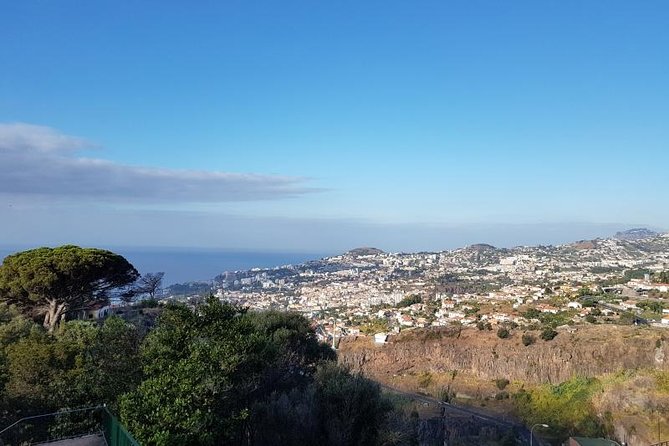 Private Halfday Madeira Garden Tour - Confirmation and Accessibility