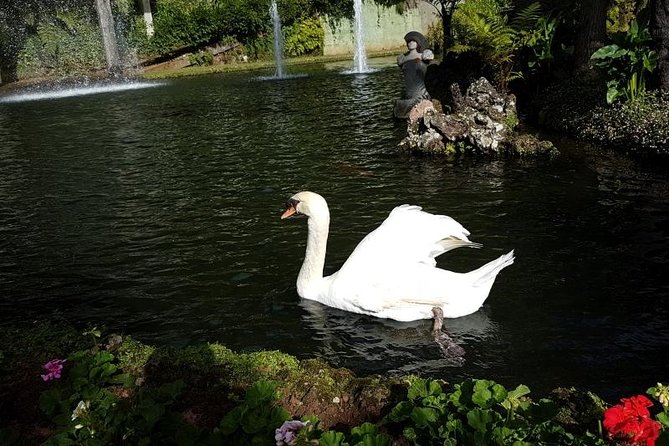 Private Halfday Madeira Garden Tour - Pricing and Cancellation Policy