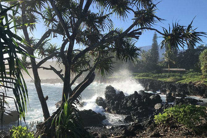 Private Halfway to Hana Tour - Whats Included