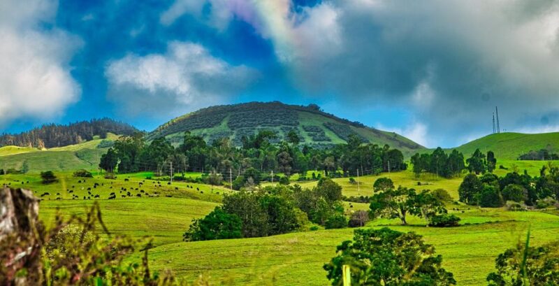 Private Halfway to Hana Tour LARGE GROUP - Tour Itinerary