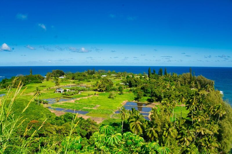 Private Halfway to Hana Tour LARGE GROUP - Frequently Visited Destinations