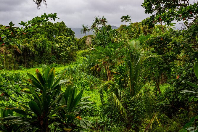Private Halfway to Hana + Waterfall & Garden of Eden Tour - Inclusions