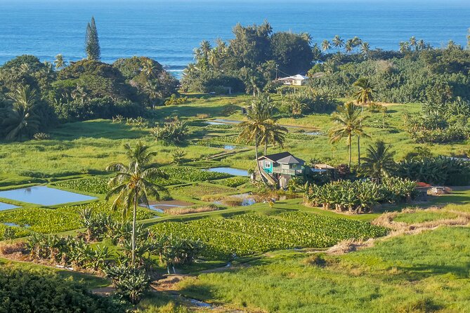 Private Halfway to Hana + Waterfall & Garden of Eden Tour - Participant Information