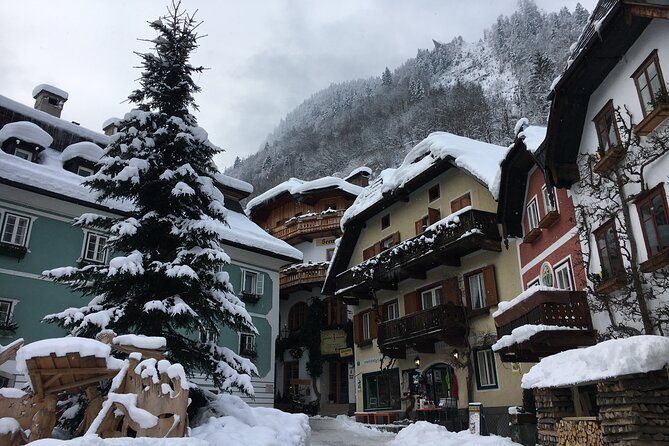 Private Hallstatt Tour With Tour End in Vienna - Logistics