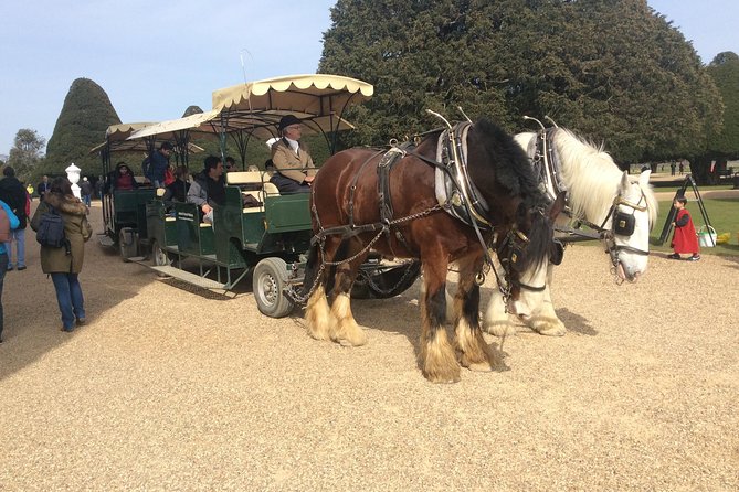 Private Hampton Court Palace Tour - Additional Information