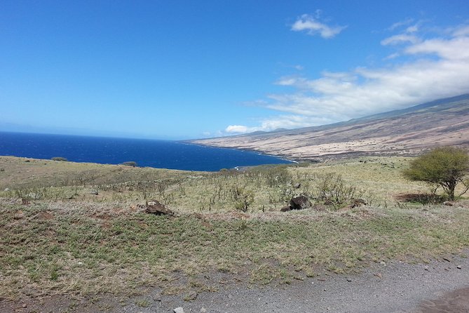Private Hana, Ocean, Turtle Town, Winery Tour of Maui - Booking Details