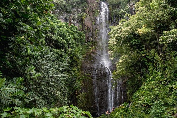 Private Hana Waterfalls Tour - Inclusions