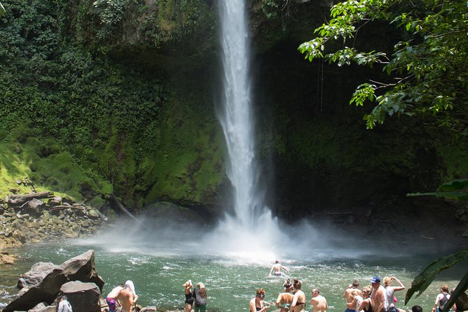 Private Hanging Bridges + Waterfall Tour + Costarrican Lunch - Expert Wildlife Guides