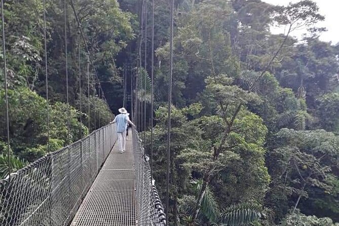 Private Hanging Bridges + Waterfall Tour + Costarrican Lunch - Authentic Costarrican Cuisine