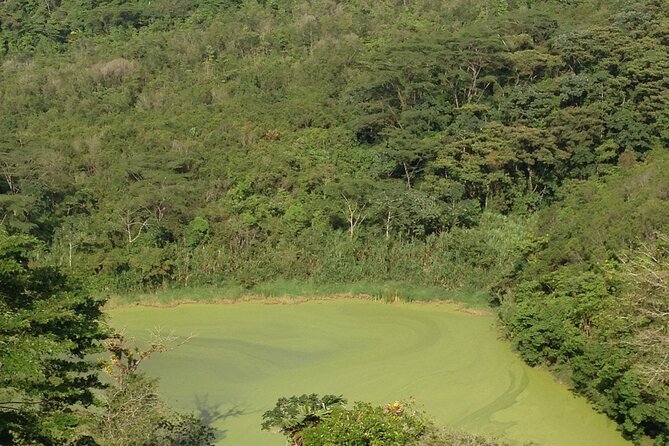 Private Hanging Bridges / Waterfall / Typical Lunch / Volcano-Lava Fields Combo - Traveler Feedback and Ratings