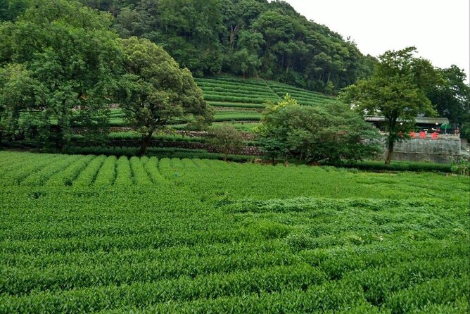 Private Hangzhou Day Tour From Shanghai - Pricing Information