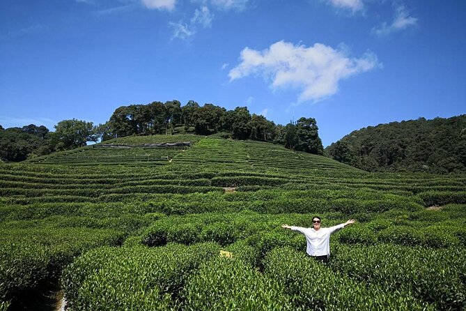 Private Hangzhou Day Tour From Shanghai - Additional Notes