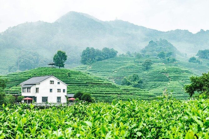 Private Hangzhou Day Tour From Shanghai - Experience West Lake Serenity