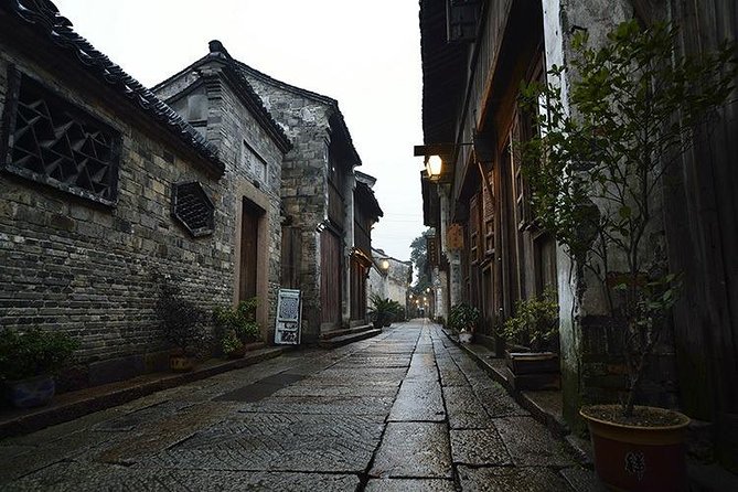 Private Hangzhou Day Tour - Wuzhen Water Town - Inclusions