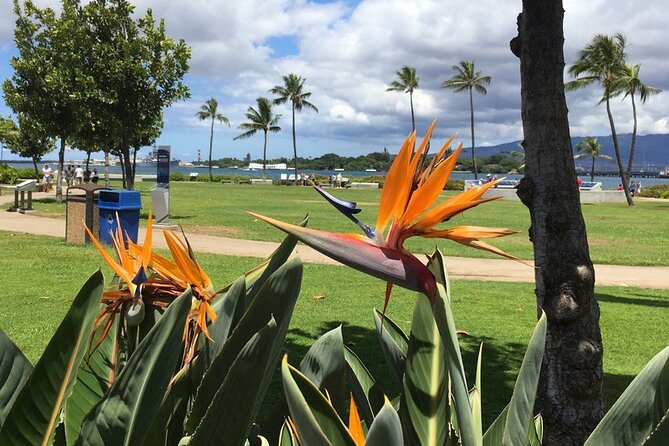 Private Hawaii Pearl Harbor Tours and North Shore (Up to 12 People ) - Inclusions and Fees