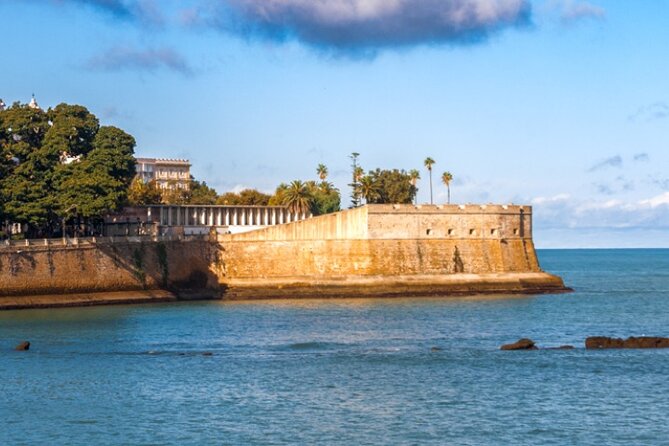 Private Healthy Food Experience and Walking Tour in Cadiz - Negative Feedback Considerations