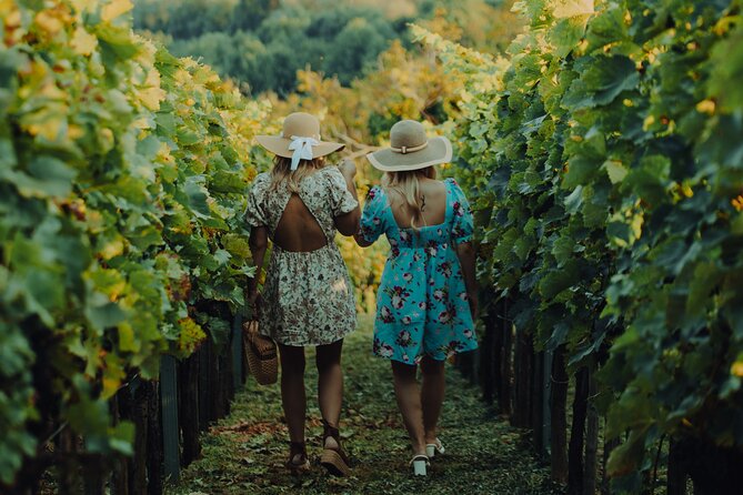 Private Hedonistic Food and Wine Experience From Zagreb - Luxurious Transportation and Amenities