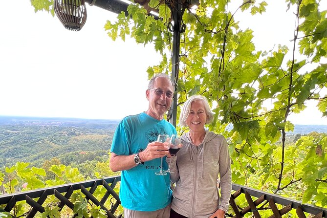 Private Hedonistic Food and Wine Experience From Zagreb - Savoring Traditional Soup and Štrukli
