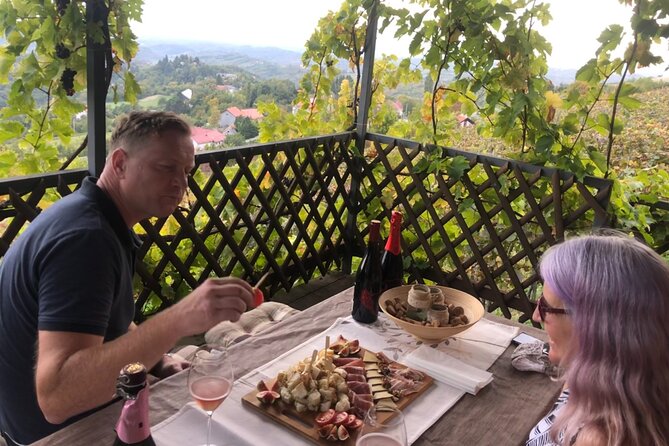 Private Hedonistic Food and Wine Experience From Zagreb - Participation Guidelines and Considerations
