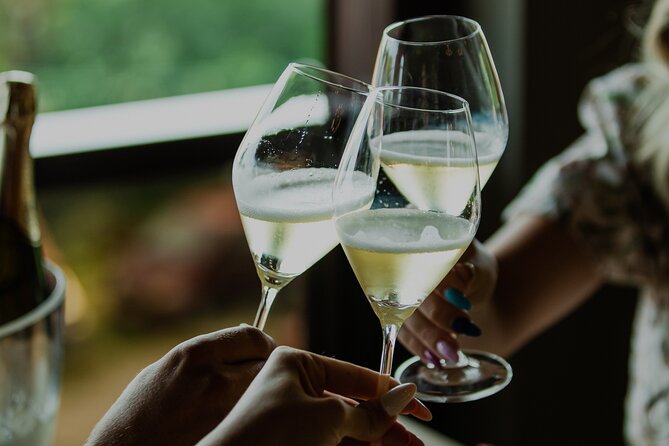 Private Hedonistic Food and Wine Experience From Zagreb - Pricing and Cancellation Policy