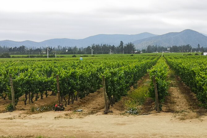 Private Helicopter Flight to Winery With Sparkling Wine Tasting - Winerys Sparkling Wine Selection