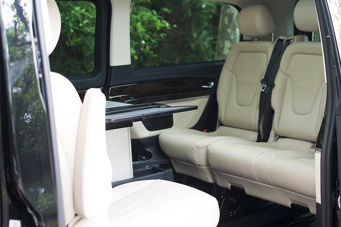 PRIVATE Helsinki VIP Transfer - Accessibility and Accommodations