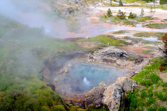 Private Hidden Gems of Yellowstone! Lunch W/ Family Friendly Hikes Included! - Key Points