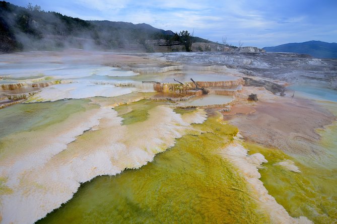 Private Hidden Gems of Yellowstone! Lunch W/ Family Friendly Hikes Included! - Reviews Highlights