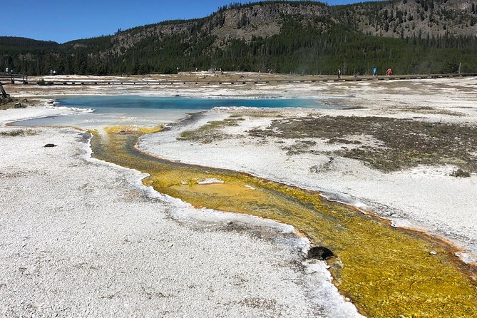 Private Hidden Gems of Yellowstone! Lunch W/ Family Friendly Hikes Included! - Customizable Experiences