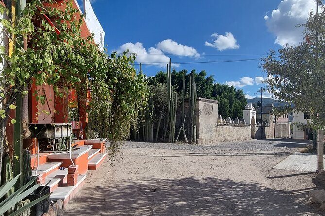 Private: Hierve El Agua, Mitla, Mezcal and Lunch in Maguey Fields - Exploring Oaxaca’s Natural and Cultural Gems