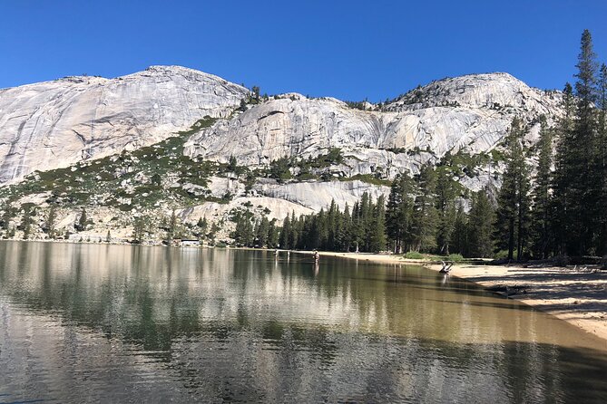 Private High Country Fly Fishing Adventure - Accessibility and Fitness Level