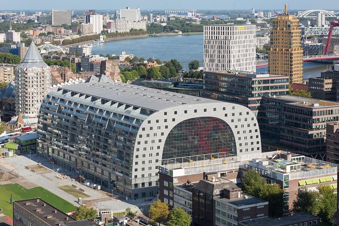 Private Highlights & Art Walking Tour: Markthal, Zadkine, Street Art and Depot - Artistic Discoveries