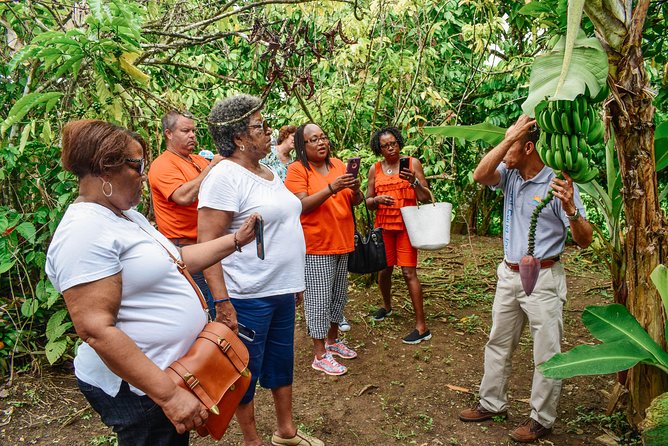 Private Higuey Cultural Tour From Punta Cana (Half-Day) - Tour Overview