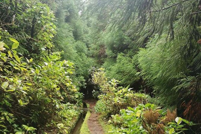 Private Hike Along the Levada - Health and Safety Guidelines