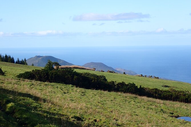 Private Hike Along the Levada - Highlights of the Levada Hike