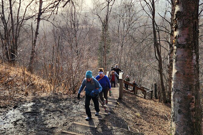 Private Hike and History Trip in Palmer, Alaska - Who Will Love This Tour?