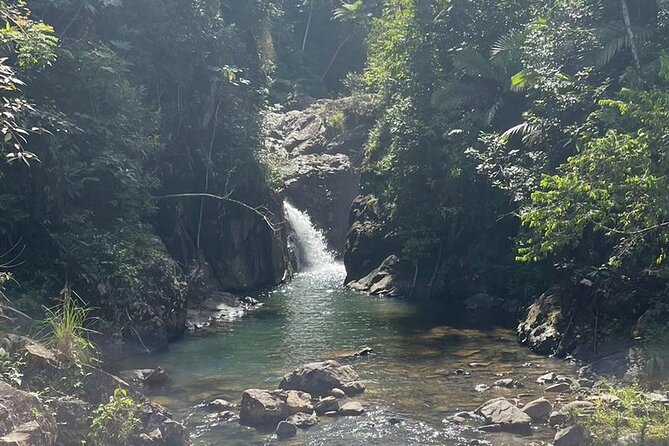 Private Hike in the Rainforest to Waterslides - Health and Safety Information