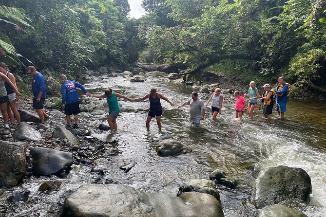 Private Hike in the Rainforest to Waterslides - Group Size and Pricing