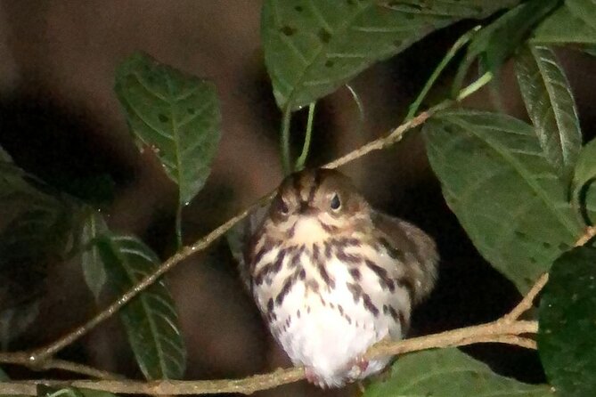 Private Hike Through the Wildlife Refuge - Highlights of the Private Hike