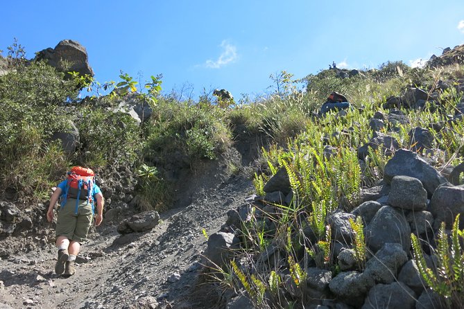 Private Hike to Active Izalco and Cerro Verde Volcanoes. 2 Volcanoes in One Day! - Reviews and Guide Info