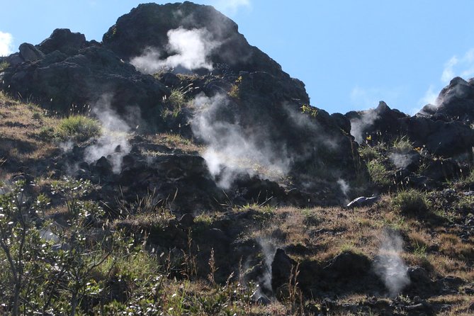 Private Hike to Active Izalco and Cerro Verde Volcanoes. 2 Volcanoes in One Day! - Trekking Through Cloud Forests