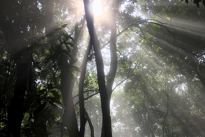 Private Hike to Active Izalco and Cerro Verde Volcanoes. 2 Volcanoes in One Day! - Exploring Cerro Verdes Crater