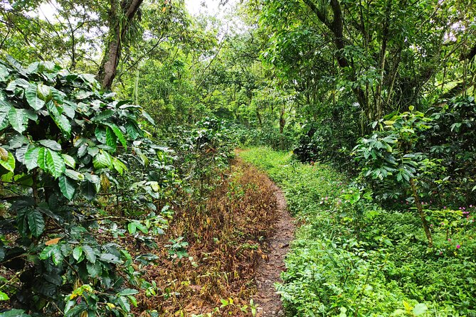 Private Hike to the Hidden Railway Line Near Medellin - Exploring the Hidden Railway Line