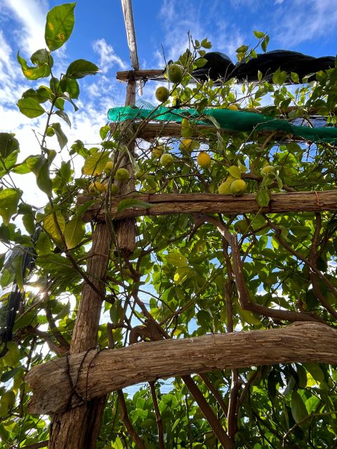 Private Hike to the Path of the Lemons - Amalfi Coast - Safety Briefing